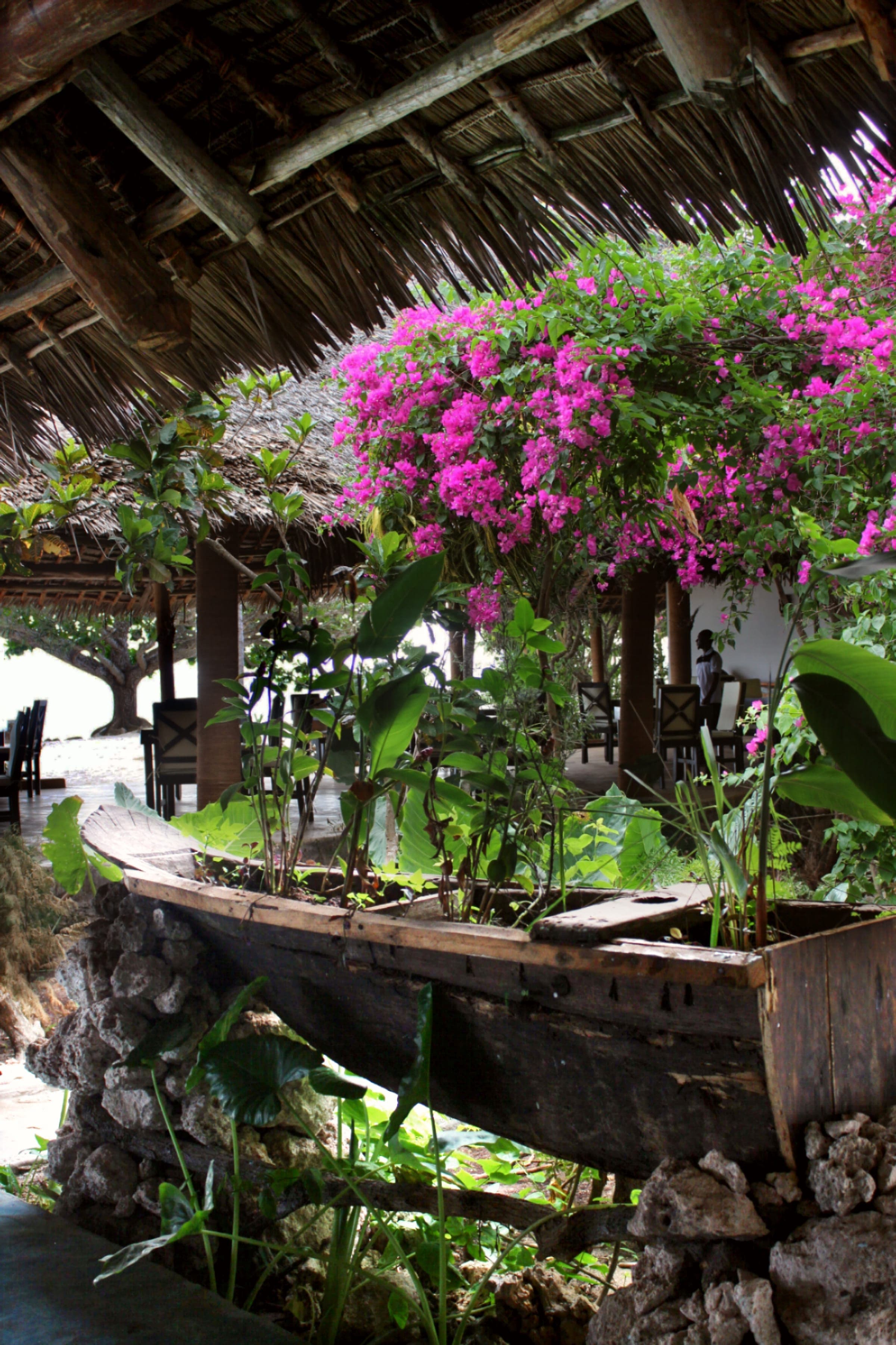 Tropical garden on the Veridiana Hotel property