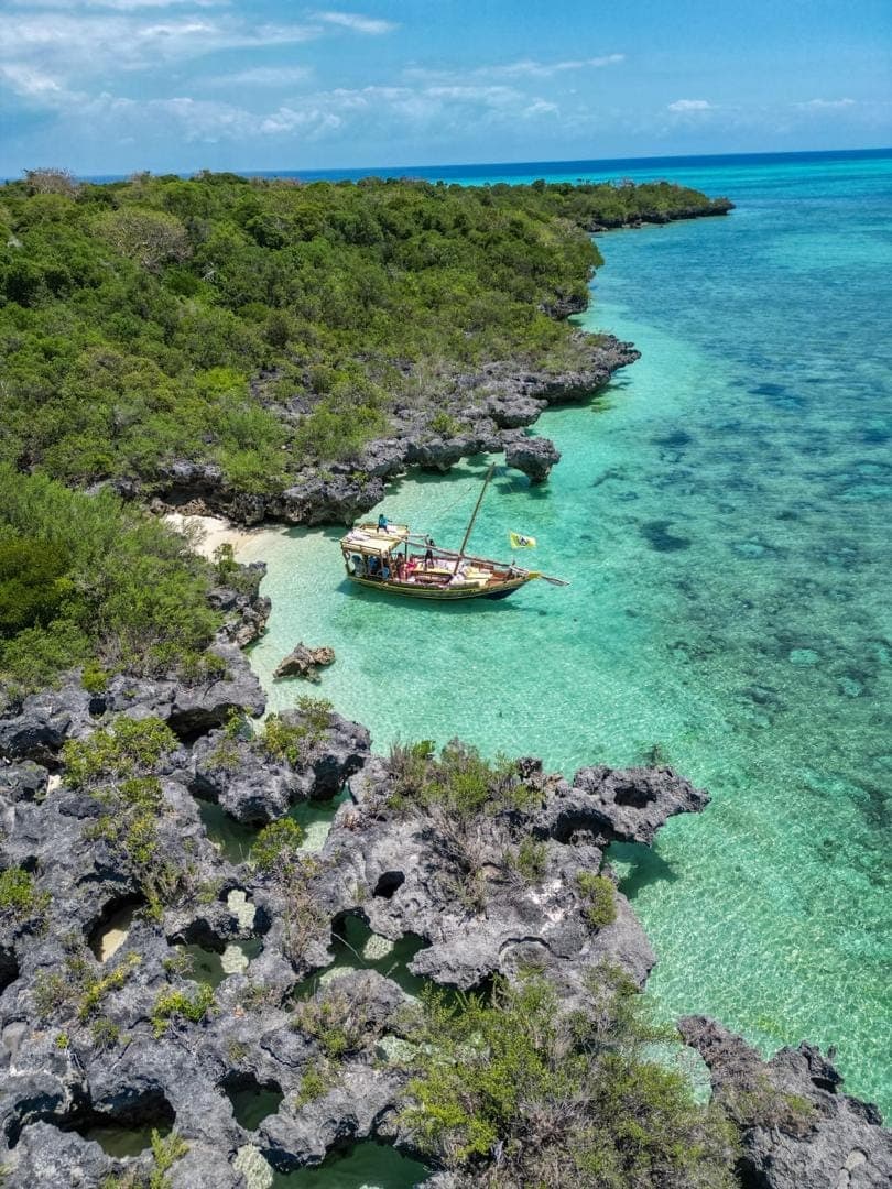 Dhow excursion passing through Zanzibar mangroves