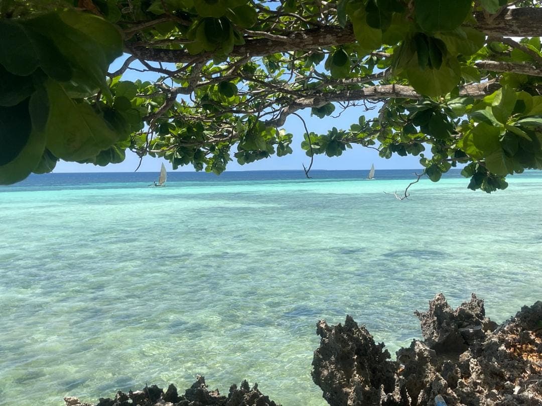 Turquoise ocean view from Kizimkazi Beach, Zanzibar